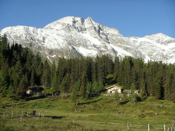 Gainschniggalm und der Hohe Sonnblick