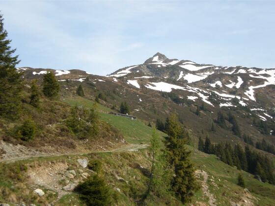 Staffkogel