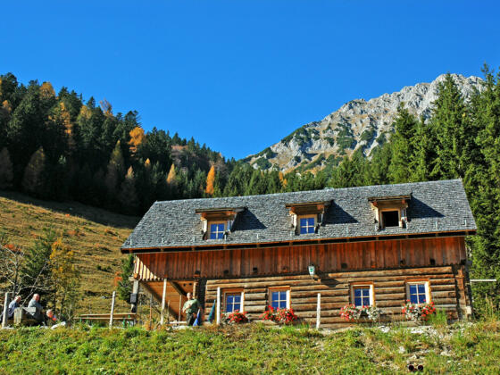 Ardningalm