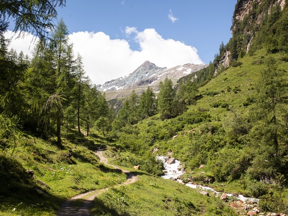 Seidlwinkltal