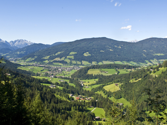 Ortsblick