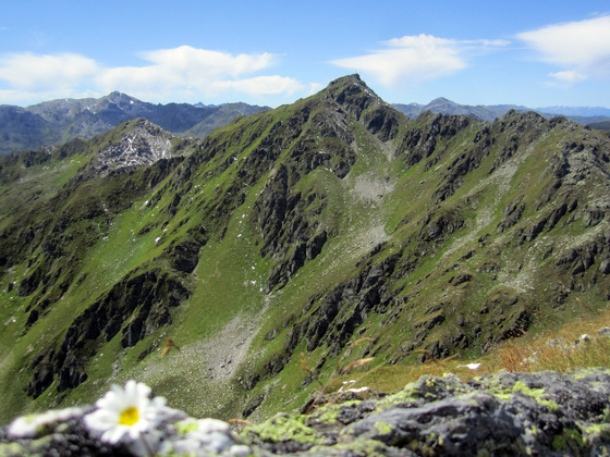 Marchkopf