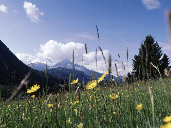 Bergwelt