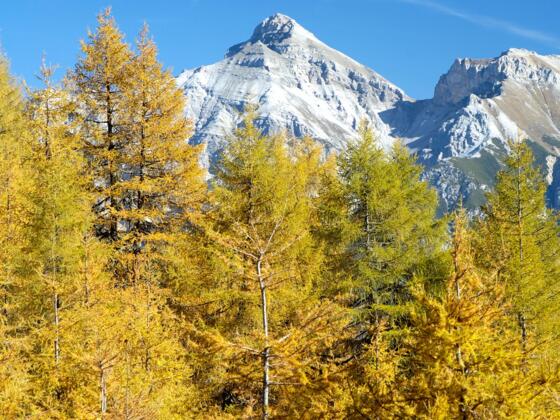 Herbststimmung im Stubaital