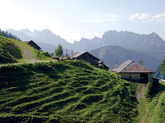 Rinnbergalm