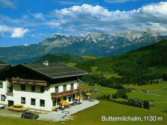 Buttermilchalm