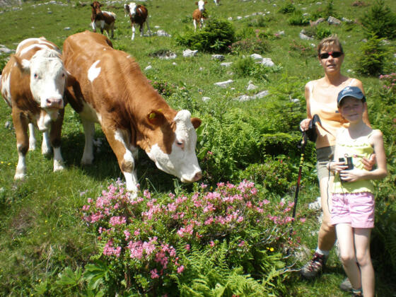 Auf der Alm