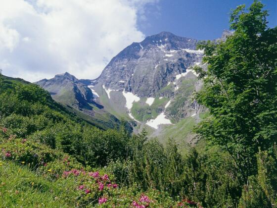 Blick Richtung Habicht