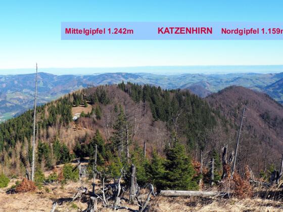 Katzenhirn Mittel- und Ostgipfel 1.159m
