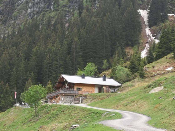 Saalalm