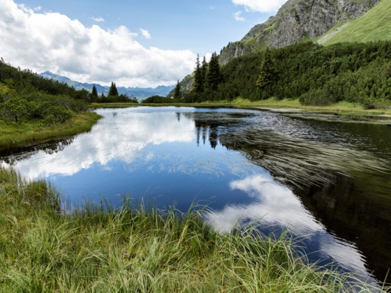 Wiegensee