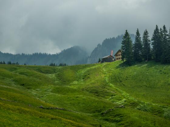 Blick auf die Wildmoosalpe