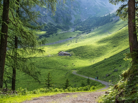 Auf dem Weg zur Setschalpe