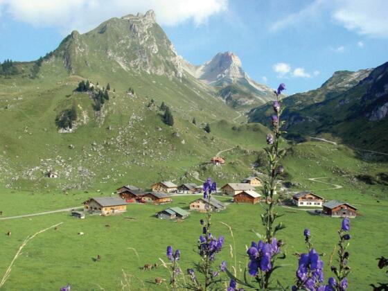 Alpe Laguz