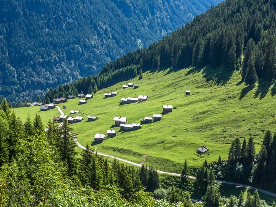 Blick zum Maisäß Ganeu