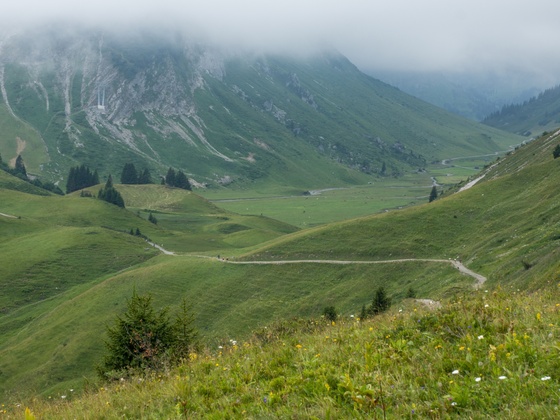 Auenfeldsattel