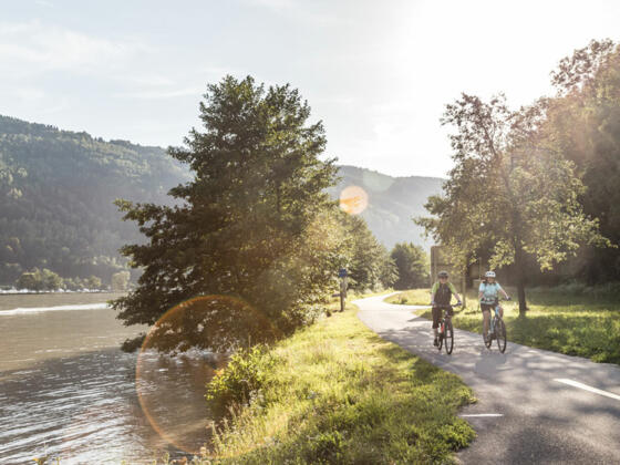 Am-Donauradweg-in-der-Schl%c3%b6gener-Schlinge_Ober%c3%b6sterreichTourismusGmbH_MoritzAblinger_NEU