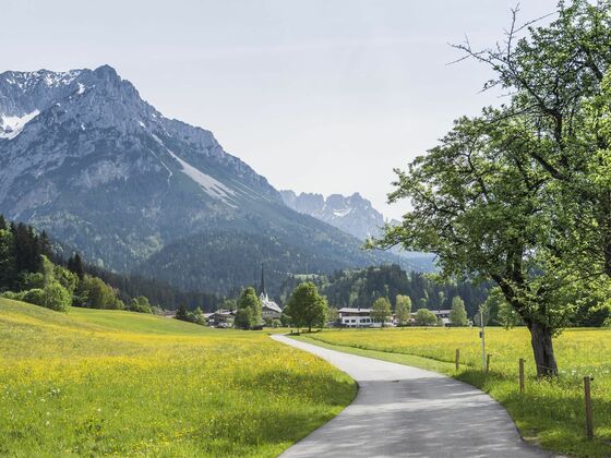 Scheffau_Sommer_Wilder Kaiser