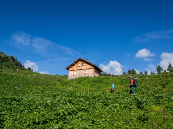 Blick zur Panülalpe