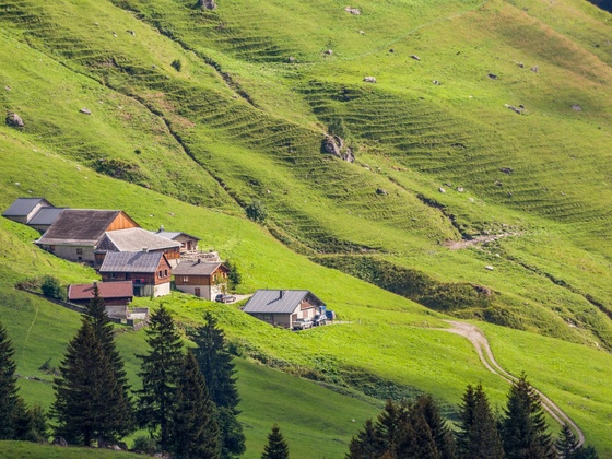 Blick auf Alpe Lün
