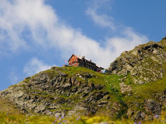 Die Flanke hinauf zur Saarbrücker Hütte präsentiert sich im Hochsommer in sattem Grün.