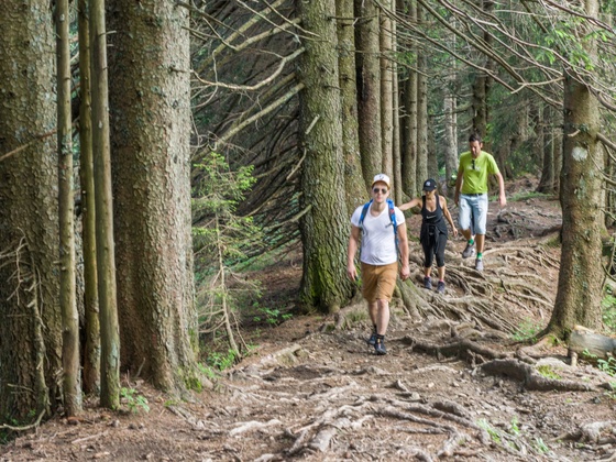 Abstieg zur Briedleralpe