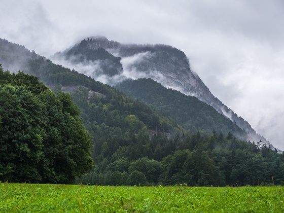 Blick auf Mittagsfluh