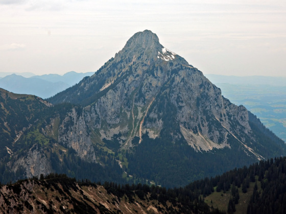 Der Säuling.