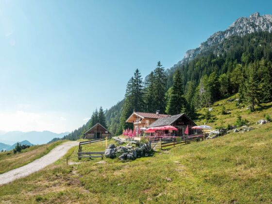 Scheffau_Steiner-Hochalm_Wilder Kaiser