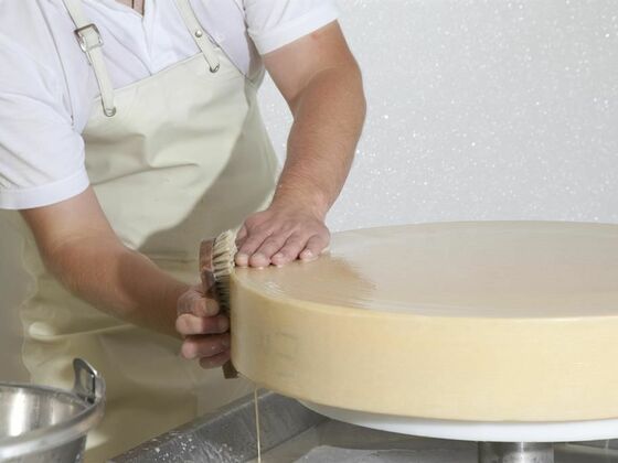 Käse Alm Hütte Einkehr Aschingeralm Ebbs Kulinarik Genuss Schaubetrieb