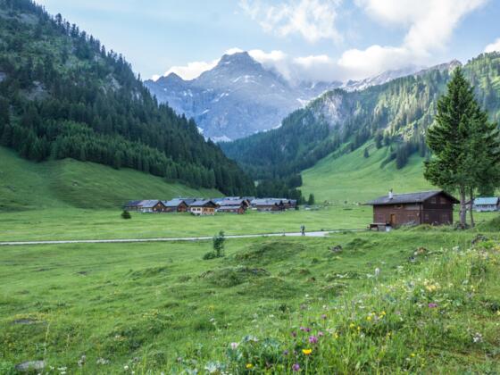 Im Gamperdonatal - Alpsiedlung Nenzinger Himmel mit Panülerkopf im Hintergrund