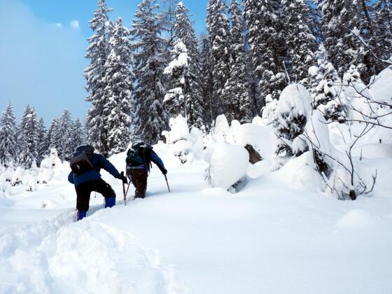 Rabenstein Kogel 1.478m