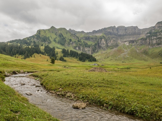 Alpbach, Blickrichtung Kanisfluh