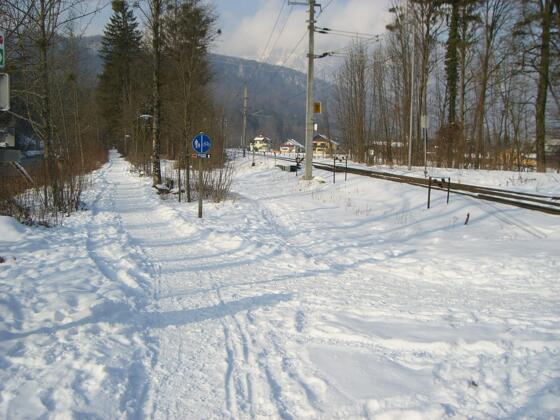 Geräumter Winterwanderweg