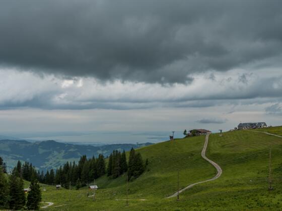 Blick auf Bergrestaurant Niedere und Alpe