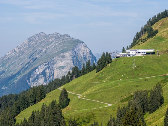 Blick auf Diedamskopfbahn-Mittelstation und Kanisfluh