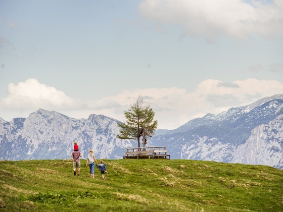 Schwarzeck Gipfel Salzburger Saalachtal