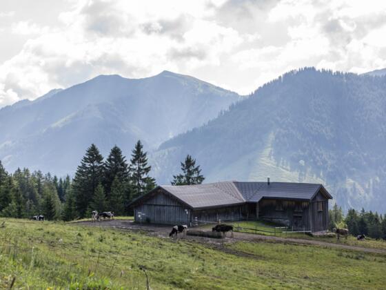 Schneewaldalpe, Dornbirn-Ebnit