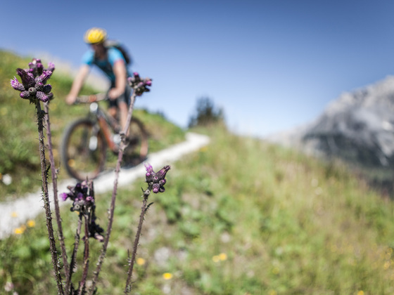 Biken