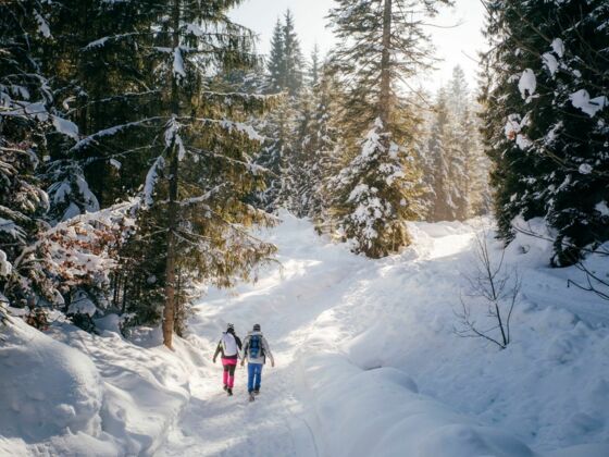 Winterwandern Modal Winter Schnee
