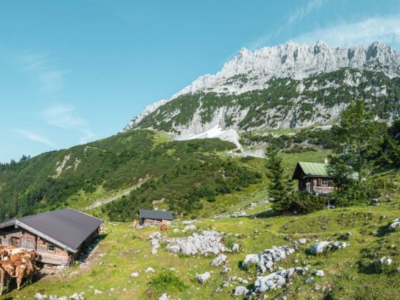 Scheffau_Kaiser-Hochalm_Wilder Kaiser