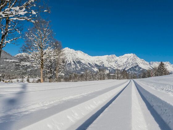 Scheffau_Langlaufloipe_Wilder Kaiser