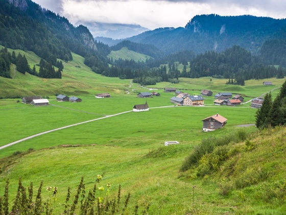 Blick auf Schönenbach