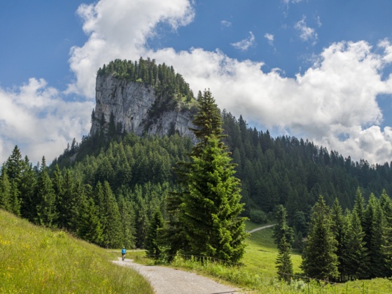 Blick auf &quot;Schöner Mann&quot;