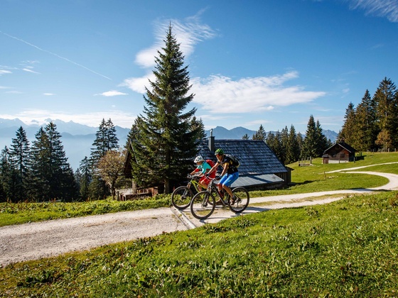 Die Rossmos Alm in Bad Goisern