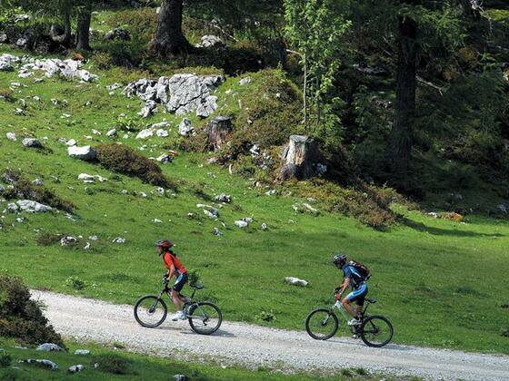 Kleinbergalm Runde
