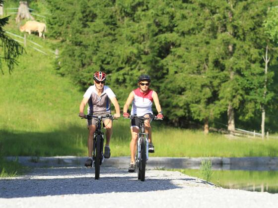 Mountainbiketour Ramsau - Filzmoos