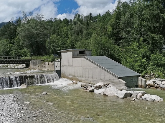 Marblingschnecke - Station 16 Energiewanderweg