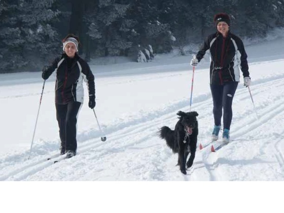 Sauwaldloipen Haugstein