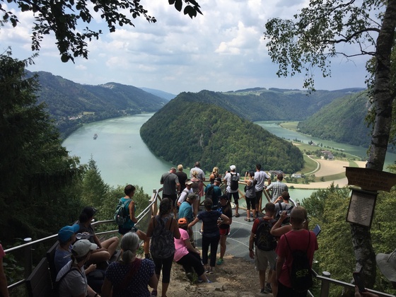 Schlögener Schlinge